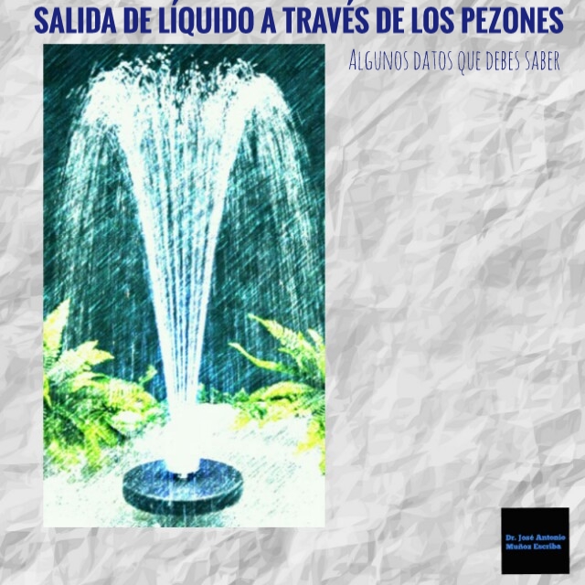 Fuente de agua con matas alrededor