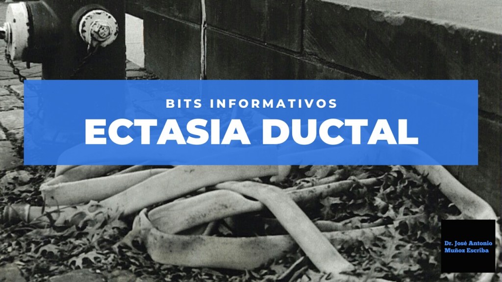 Manguera como la utilizada por bomberos apilada de manera desordenada sobre in cúmulo de hojas secas. Esta imagen sirve para los ductos mamarios de la ectasia ductal