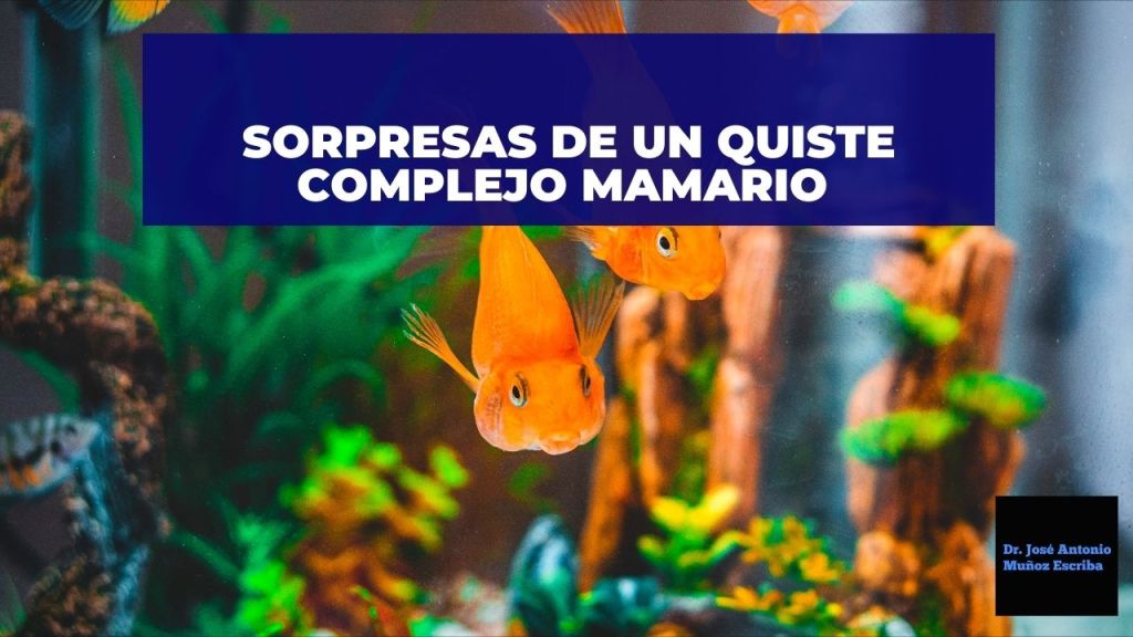 Una pecera con dos peces gold fish en la que se observa el fondo ocupada por estructuras que asemejan a algas y troncos de madera