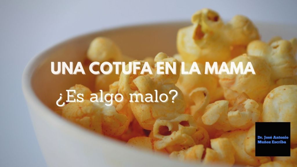 Imagen de un plato hondo con cotufas o palomitas de maiz