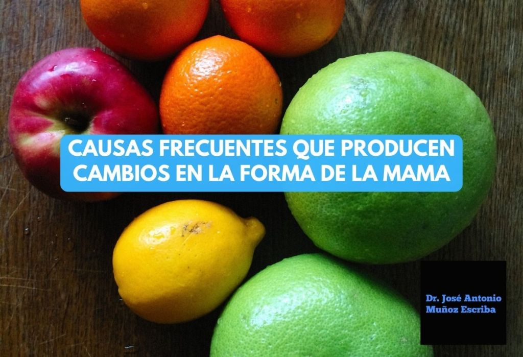 Fotografía de frutas de varias formas y colores, como naranjas, manzanas, limones, grapefruit